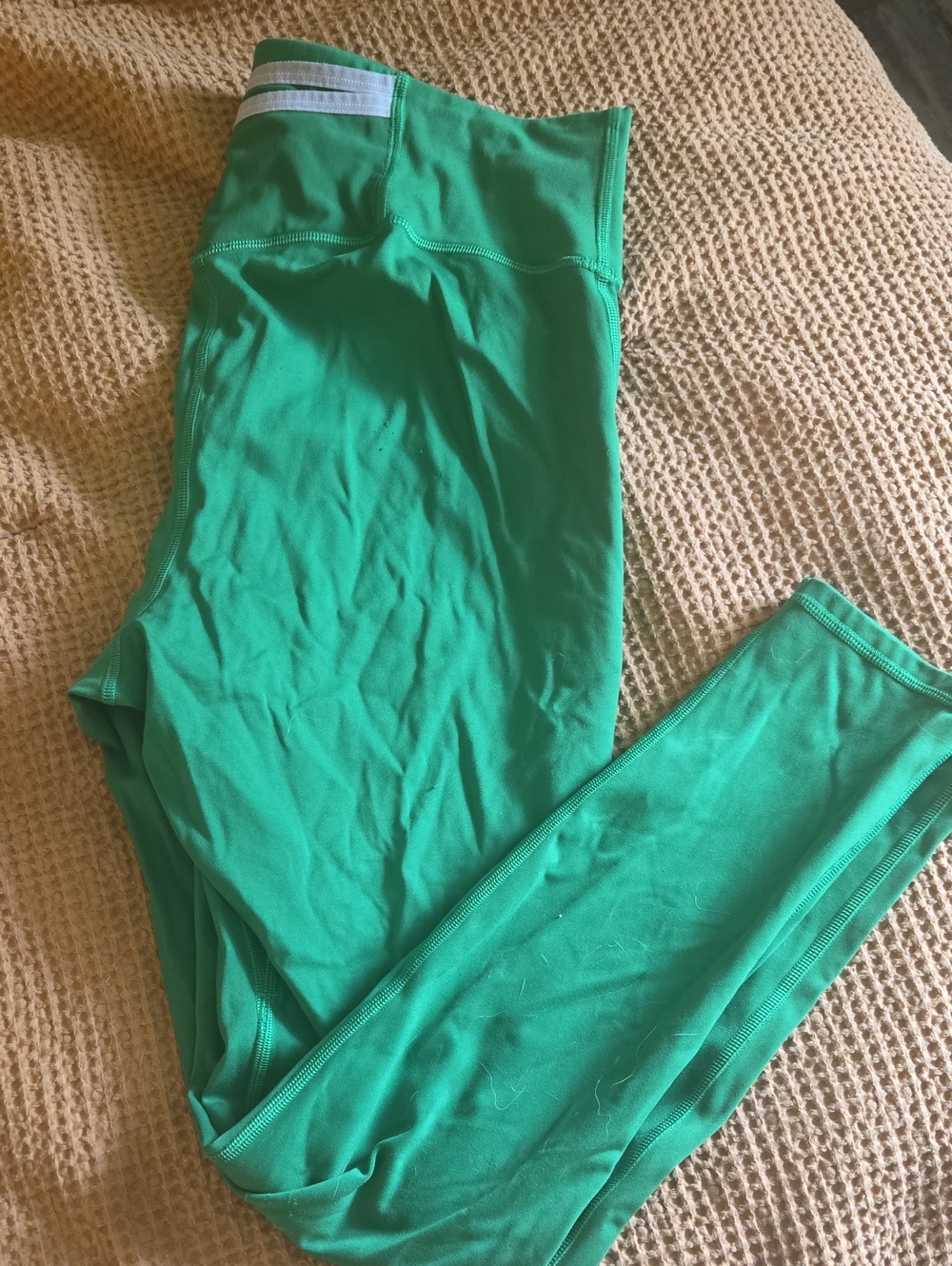 Fabletics Green Women's Active Leggings 1x